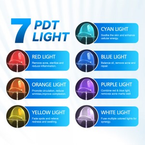 2 + 12 – in – 1 Advanced Multifunctional Beauty Machine