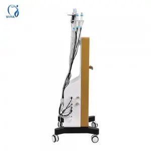 14 in 1 Oxygen Jet Deep Cleansing Hydrogen Multifunctional Facial Equipment