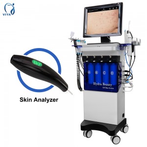 10 in 1+3 Oxygen Jet Machine