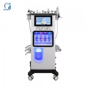 13 in 1 Oxygen Jet Machine Skin management equipment