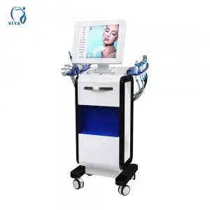 14 in 1 oxygen jet spa machine