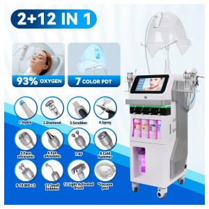 2 + 12 – in – 1 Advanced Multifunctional Beauty Machine