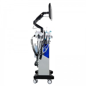 Newest wrinkle removal skin whitening oxygen jet machine korean Oxygen jet and oxygeneo machine