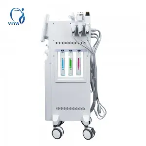 6 in 1 oxygen facial machine for spa