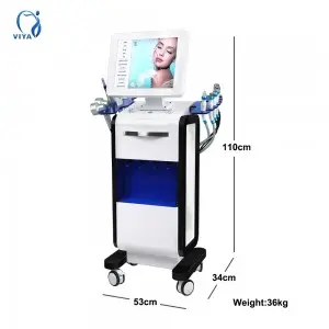14 in 1 oxygen jet spa machine