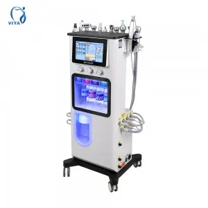 13 in 1 Oxygen Jet Machine Skin management equipment